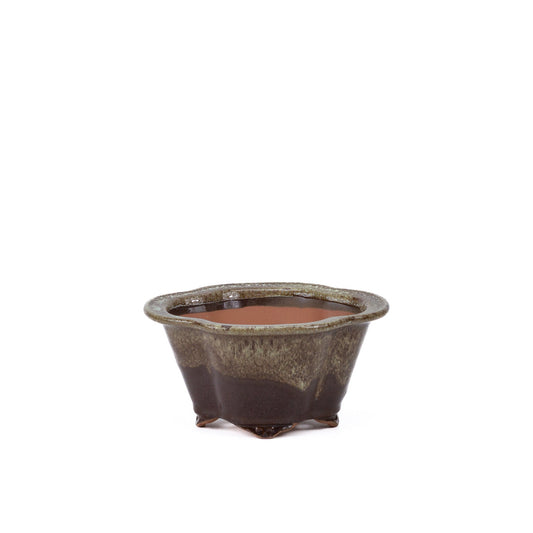 Bonsai pot chrysanten bruin beige 15.5cm