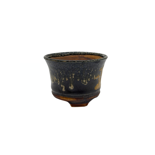 Shohin Bonsai pot sort med guld René Lecocq 9cm