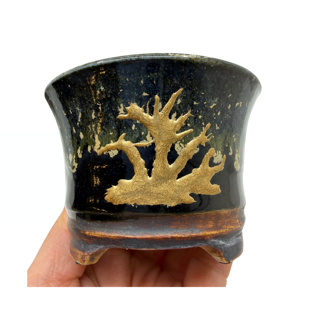 Shohin Bonsai pot sort med guld René Lecocq 9cm