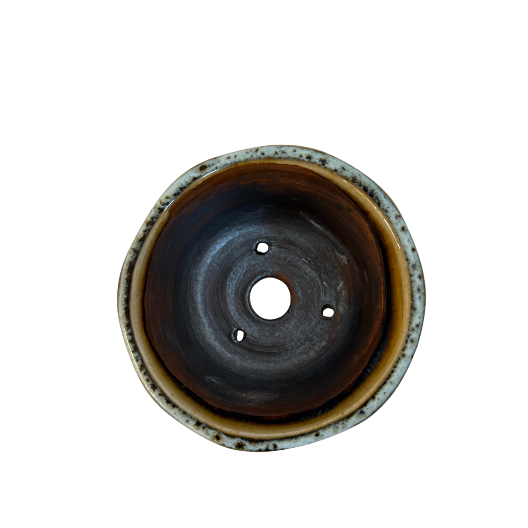 Shohin Bonsai-pot brun creme René Lecocq 9cm