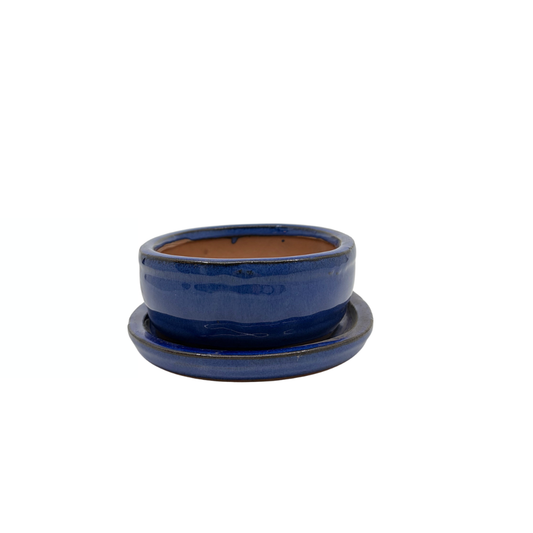 Bonsai-pot blå oval 16 cm - sæt