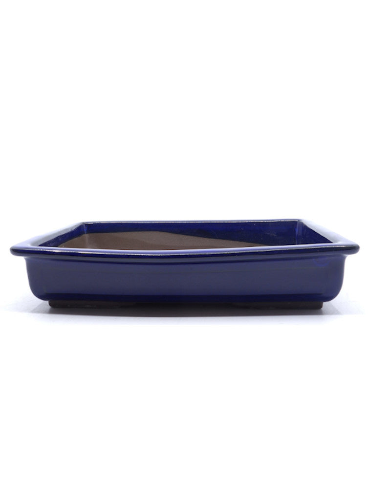 Bonsai pot blauw rechthoekig 35cm