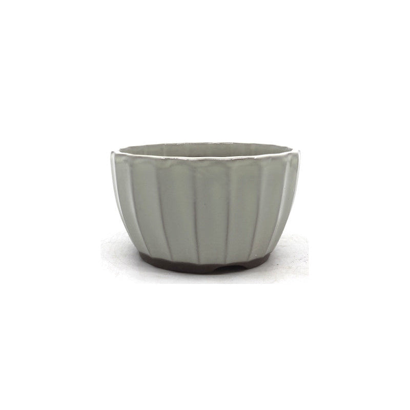 Bonsai pot wit chrysanten 12cm