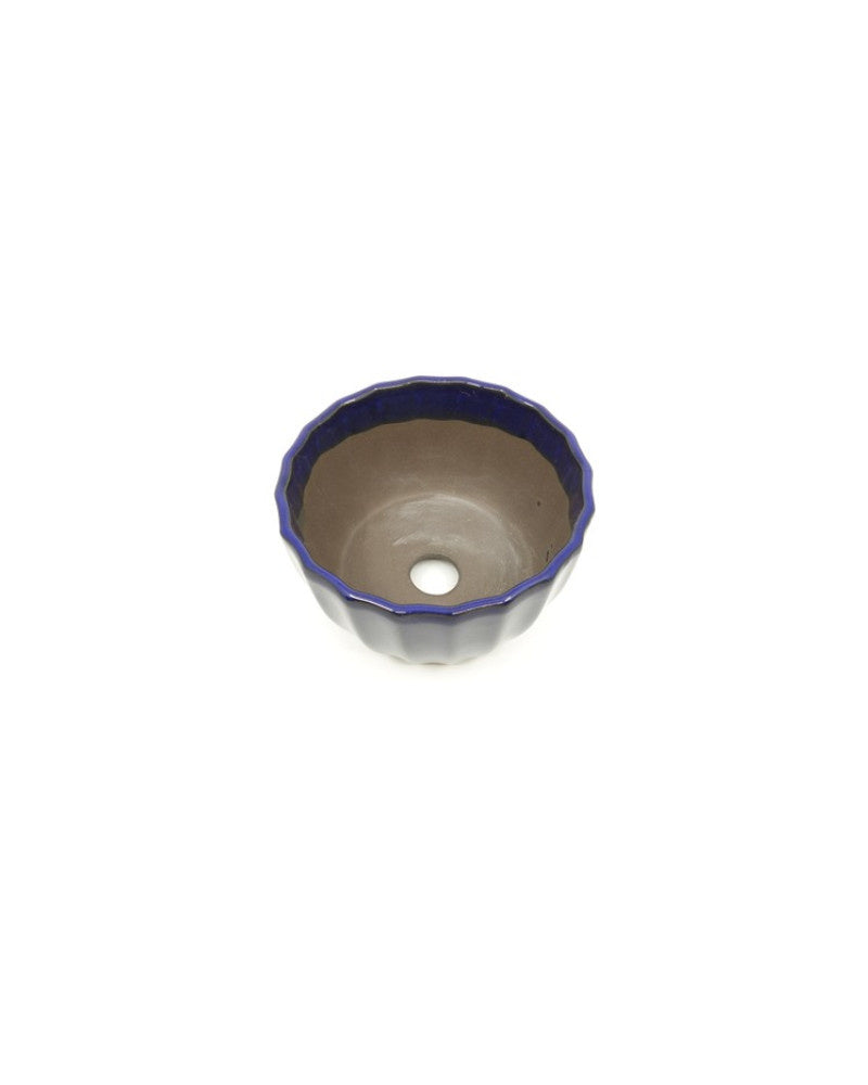 Shohin Bonsai Pot donker blauw chrysanten 10cm