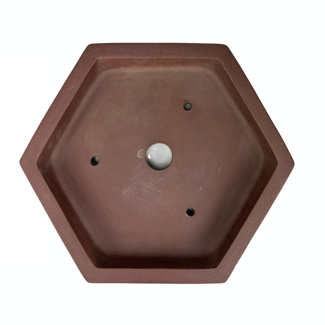 Bonsai-pot - sekskantet, uglaseret (36 cm bred)