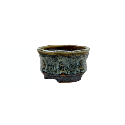 Shohin Bonsai-pot brun creme René Lecocq 9cm