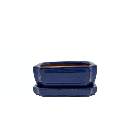 Bonsai pot blå rektangulær 15 cm - sæt