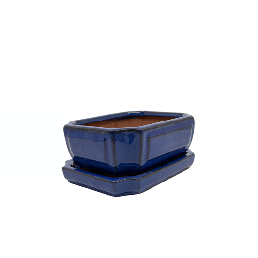 Bonsai pot blå rektangulær 15 cm - sæt