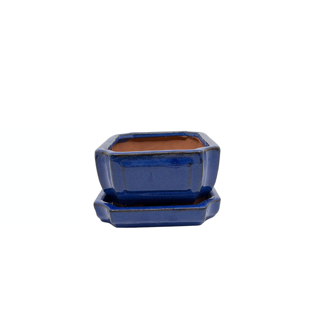 Bonsai pot blå rektangulær 15 cm - sæt