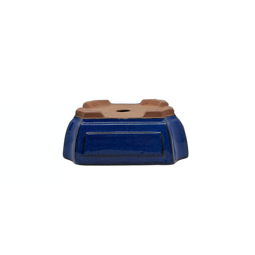 Bonsai pot blå rektangulær 15 cm - sæt
