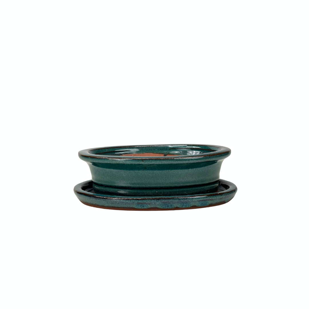 Bonsai pot groen ovaal met rand 16cm - set