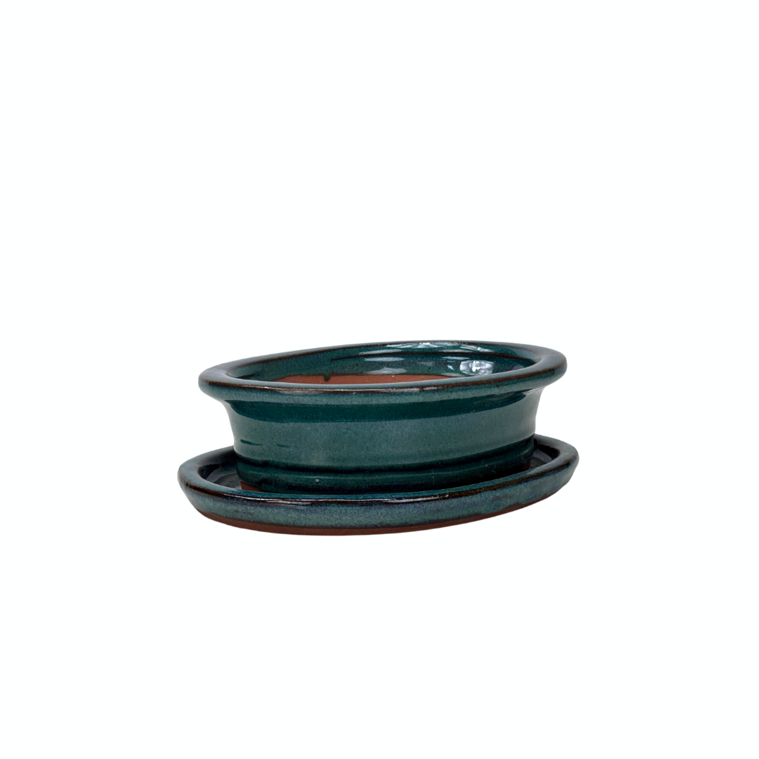 Bonsai-pot grøn oval med kant 16cm - sæt