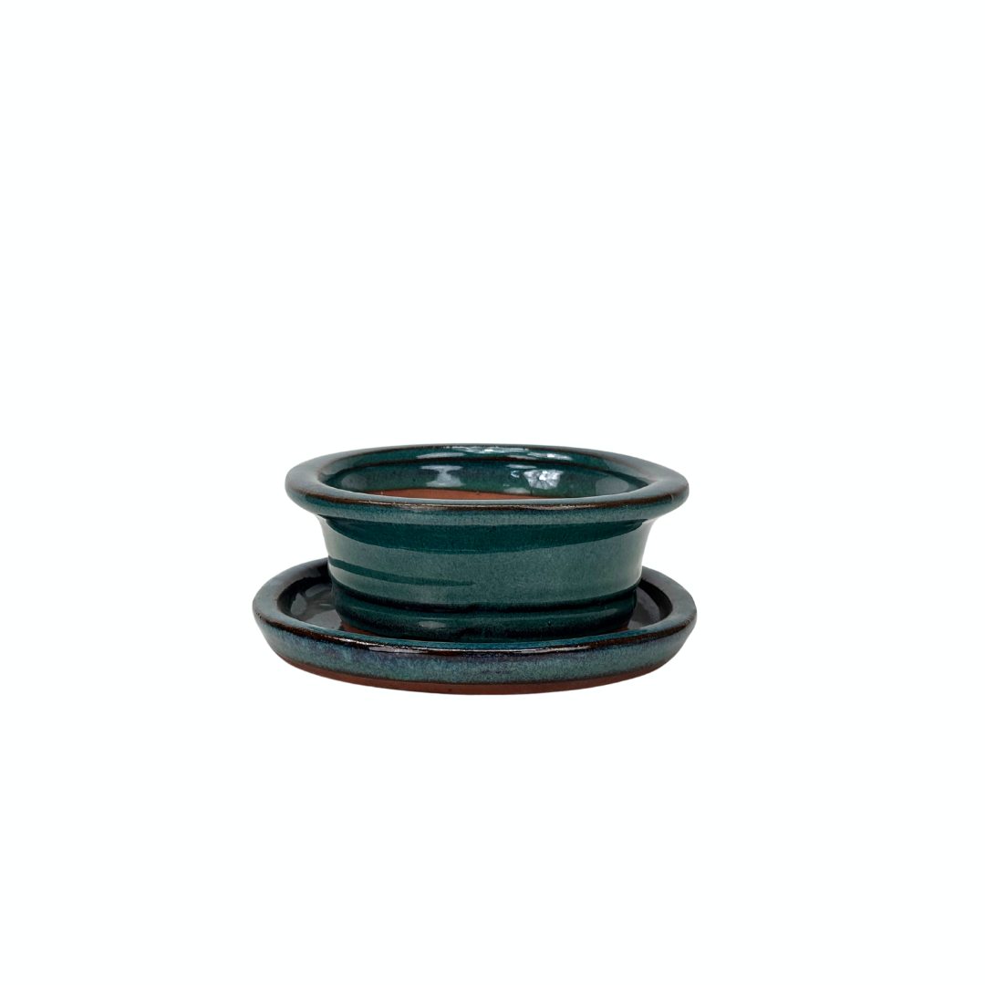 Bonsai-pot grøn oval med kant 16cm - sæt