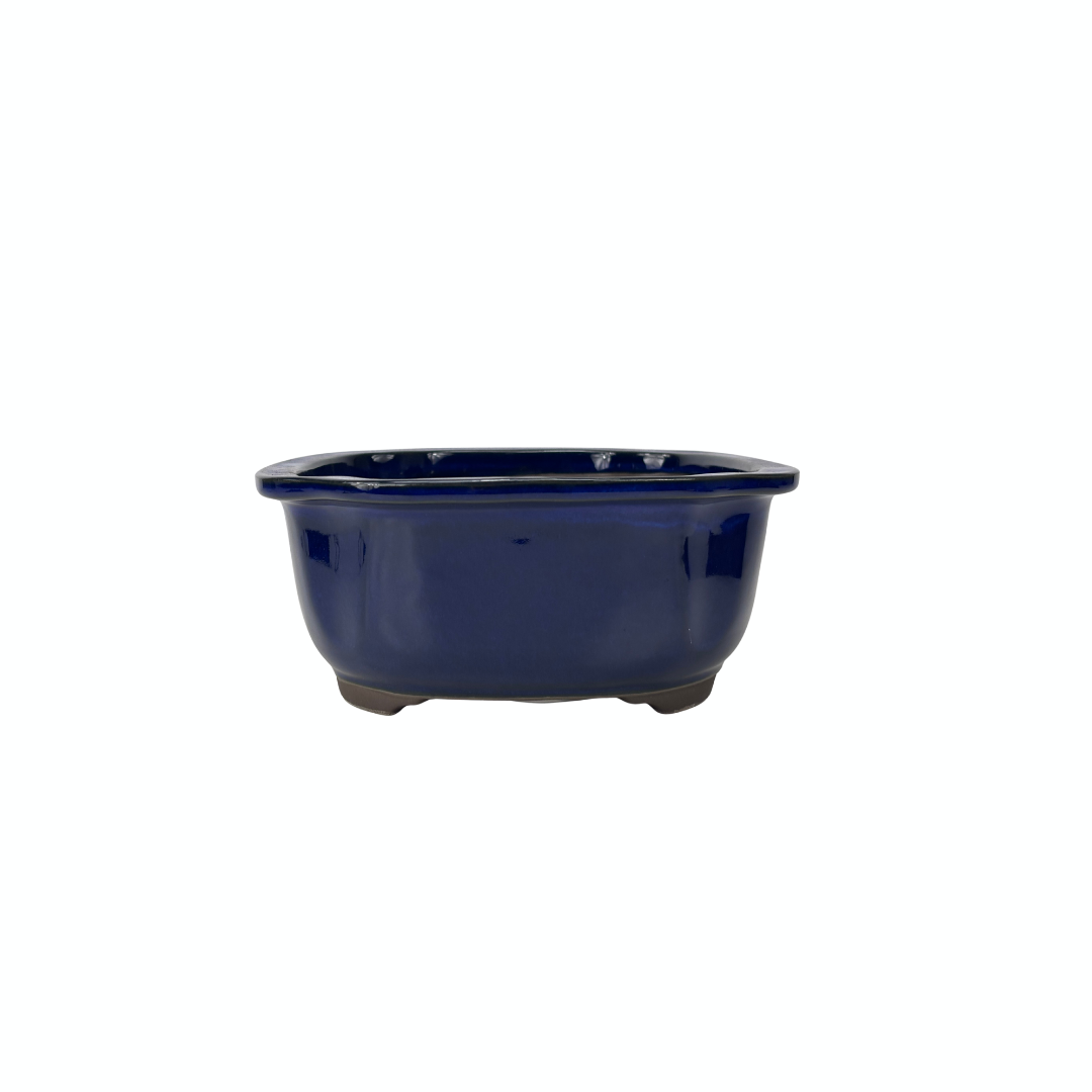 Bonsai-pot blå mokko 25cm