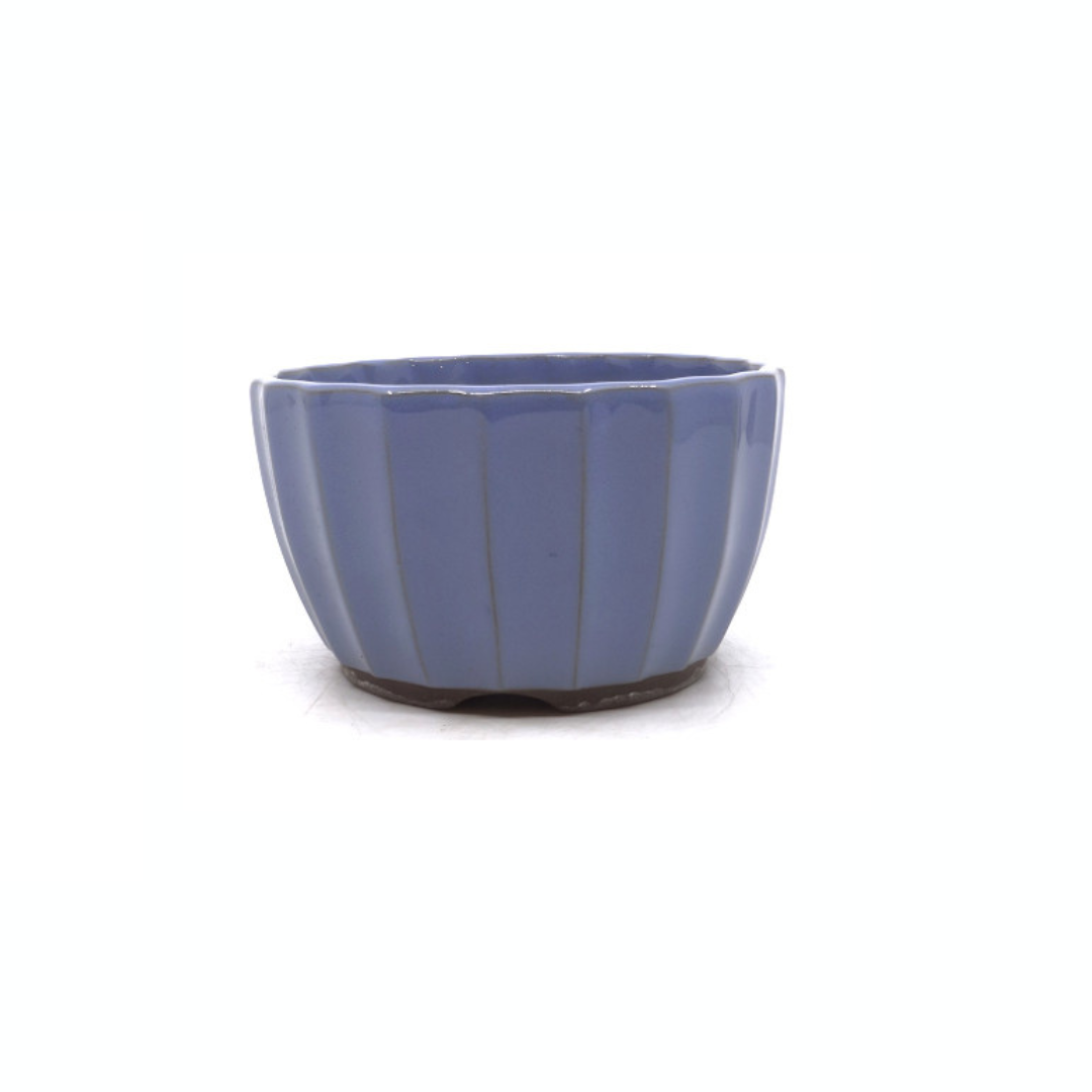 Bonsaikrukke lyseblå krysantemum 15cm