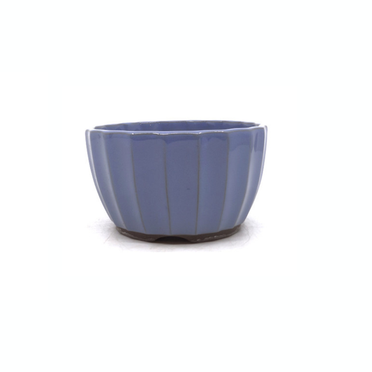 Bonsaikrukke lyseblå krysantemum 15cm
