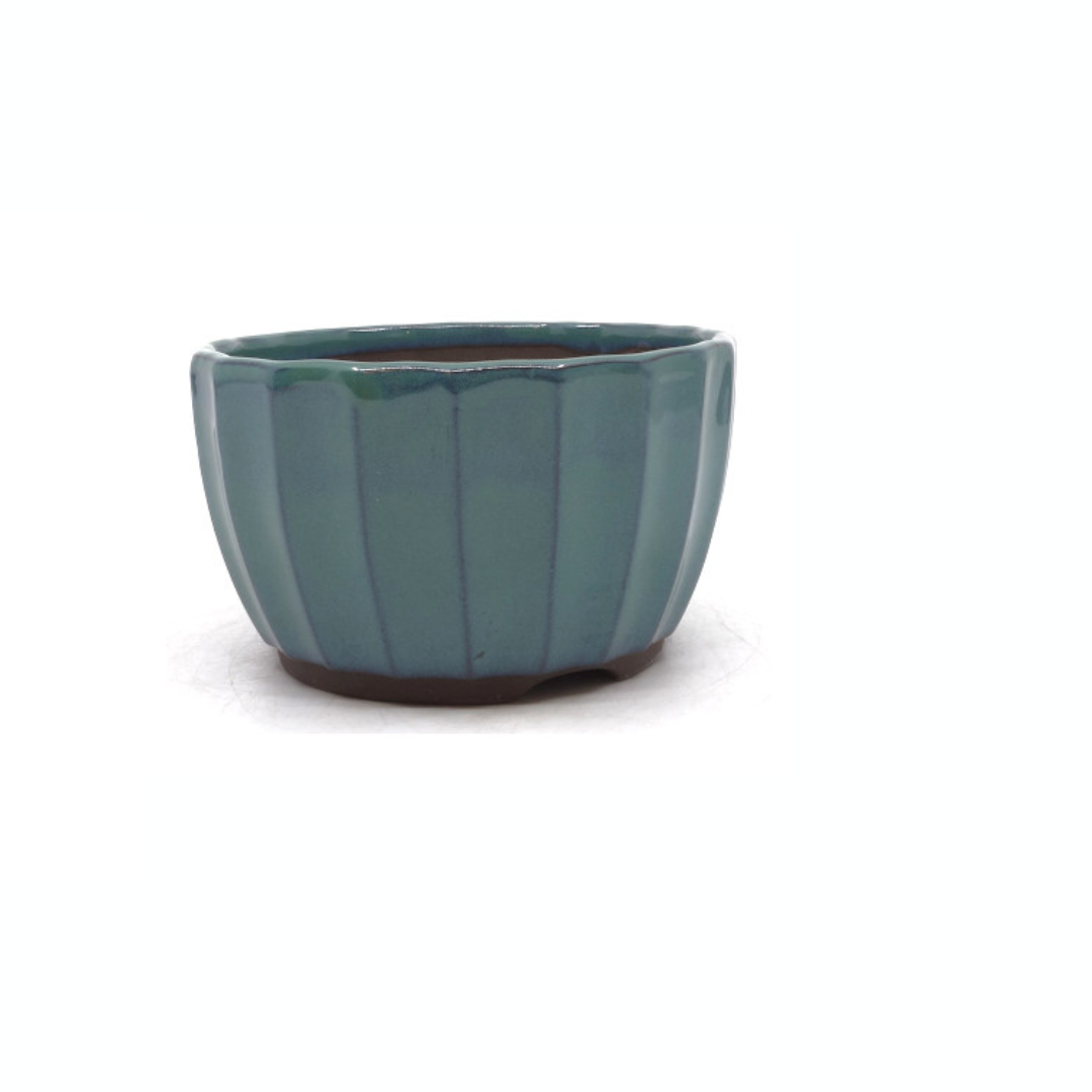 Bonsai-pot grøn krysantemum 15 cm