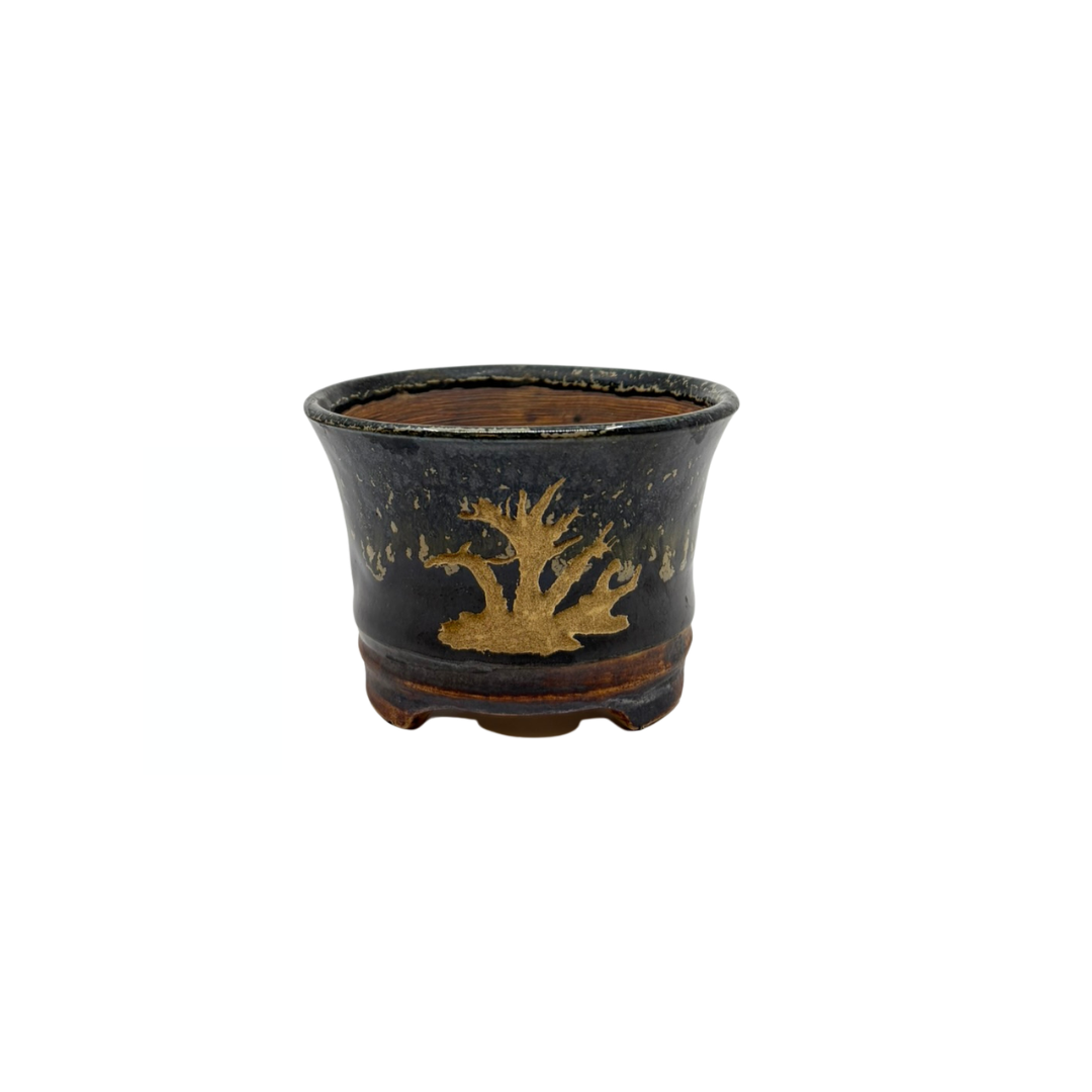 Shohin Bonsai pot sort med guld René Lecocq 9cm
