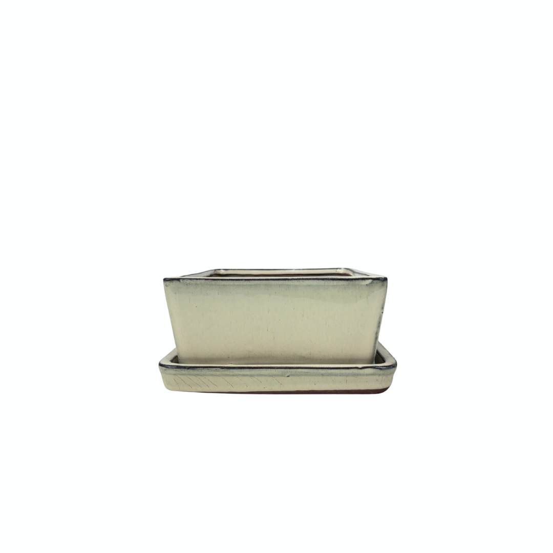 Bonsai-pot creme rektangulær 15 cm - sæt