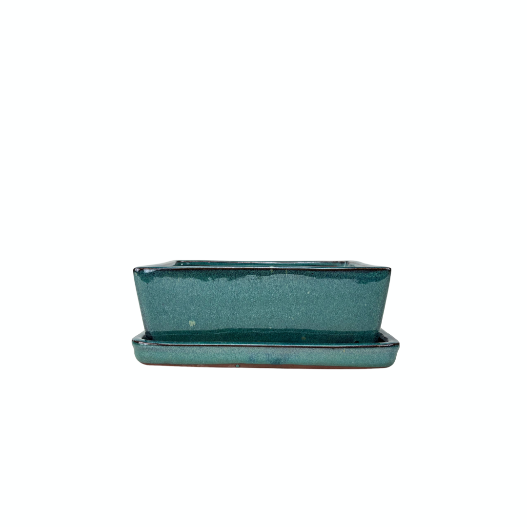 Bonsai pot creme rechthoekige 15.5cm - set