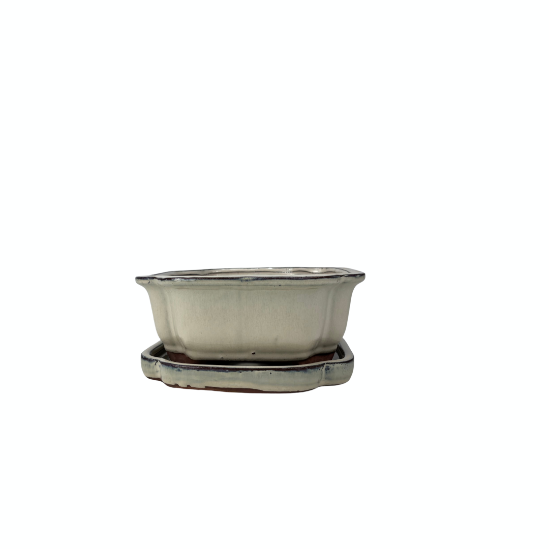 Bonsai-potte creme mokko 16cm - sæt