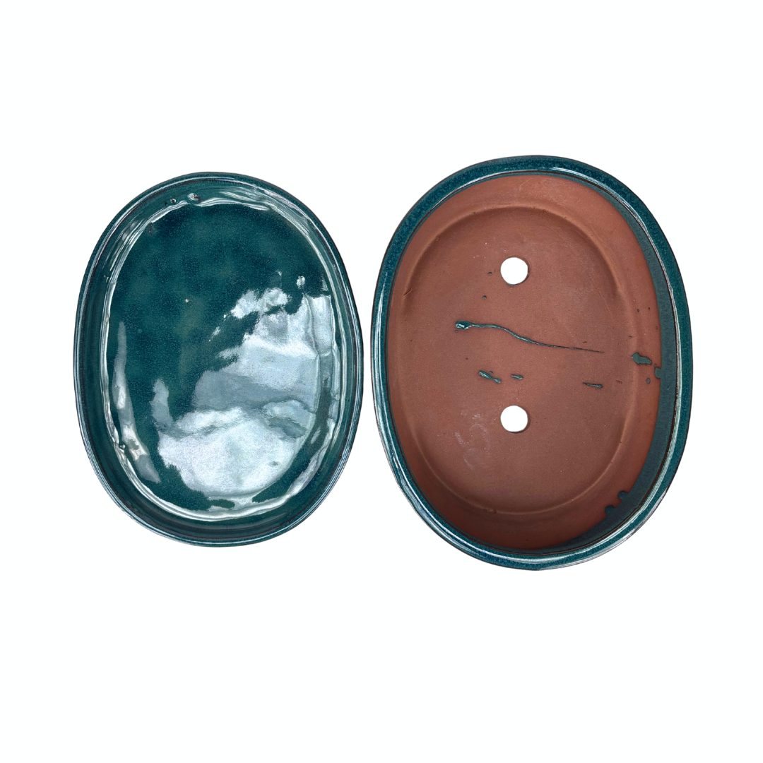 Bonsai-pot grøn oval 16 cm - sæt