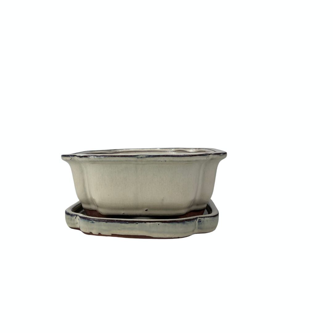 Bonsai-potte creme mokko 26 cm - sæt