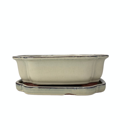 Bonsai pot creme mokko 32cm - set