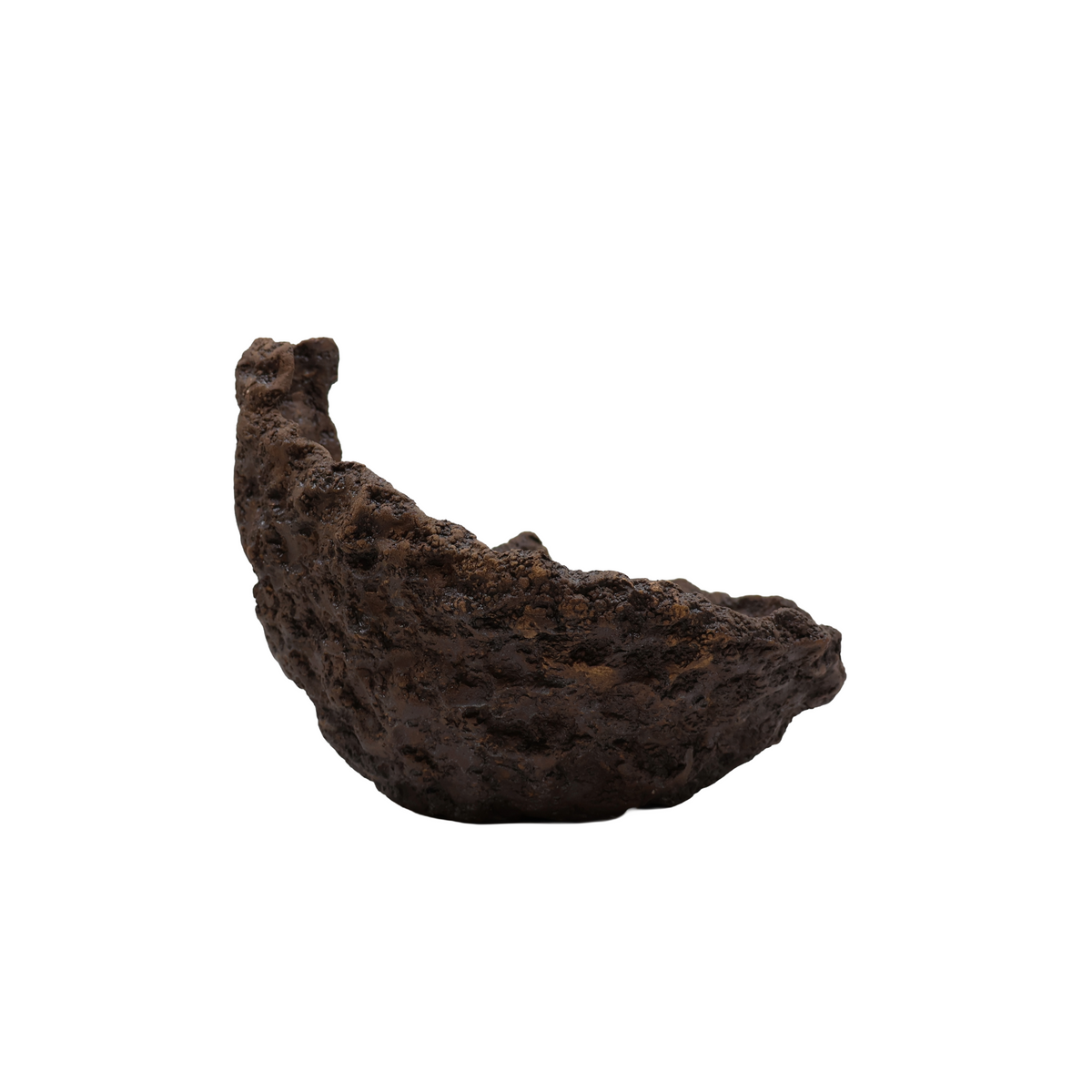 Bonsaiskål måneform – håndlavet 22 cm