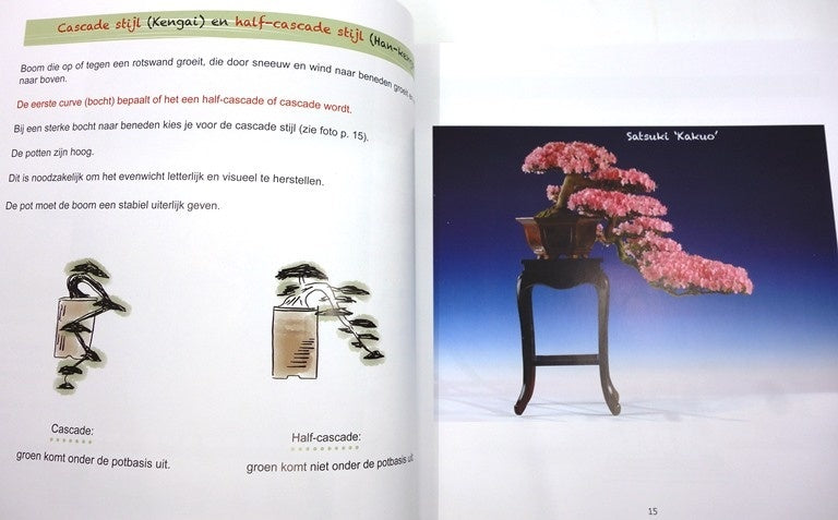 Bonsai - Meer Dan Een Boom In Een Pot , Janine Droste
