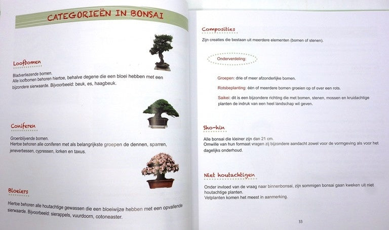 Bonsai - Meer Dan Een Boom In Een Pot , Janine Droste
