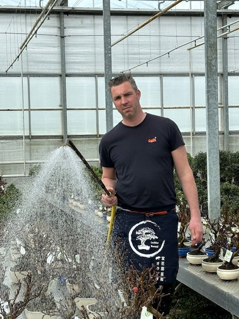 Lodder Bonsai Japanse tuinschort 'maekake'